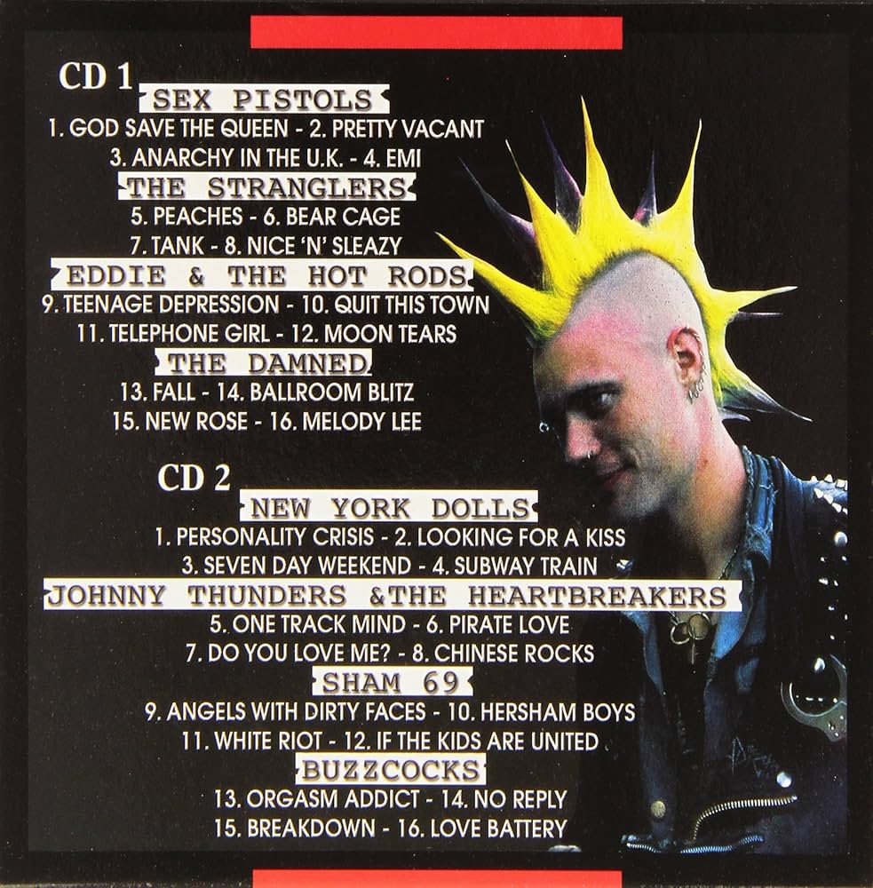 邦楽 THE ENTIER HISTORY OF PUNK The History of Punk Rock - YouTube